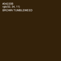 #34220B - Brown Tumbleweed Color Image
